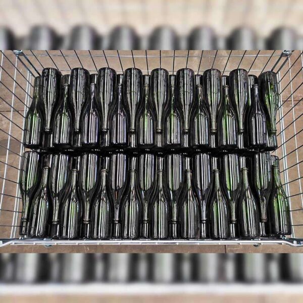 contenitore bottiglie champagne